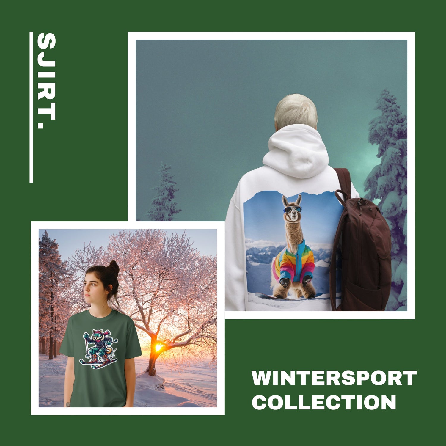 Wintersport T-Shirts & Truien Kopen