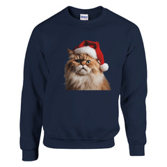 A Christmas Persian cat | Kerst Trui