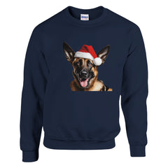 A Christmas malinois shepherd | Kerst Trui