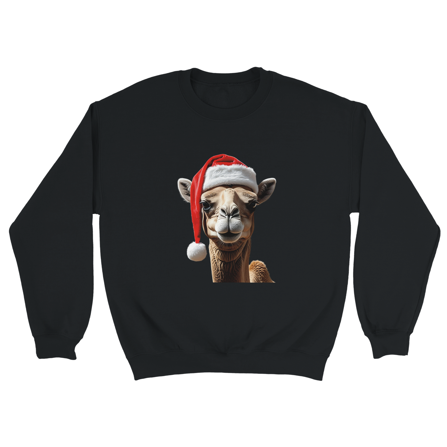 49919477-b265-432d-821f-5f9d9a451e96