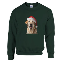 A Christmas Labrador blond | Kerst Trui