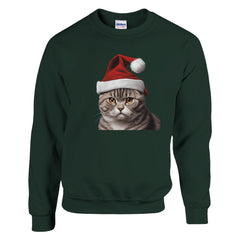 A Christmas Scottish Fold cat | Kerst Trui