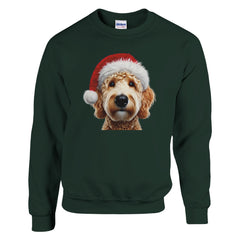 A Christmas Blonde Labradoodle | Kerst Trui