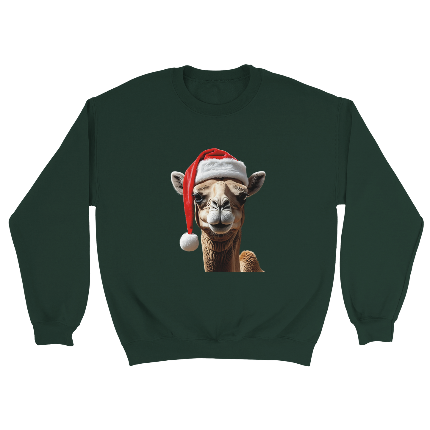 8d657a10-1ed5-46a1-ba0b-2403eb28585a