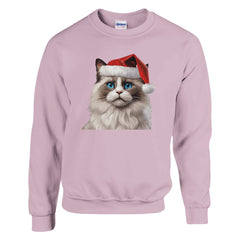 A Christmas Ragdoll cat | Kerst Trui