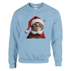 Christmas Cat | Kerst Trui Unisex