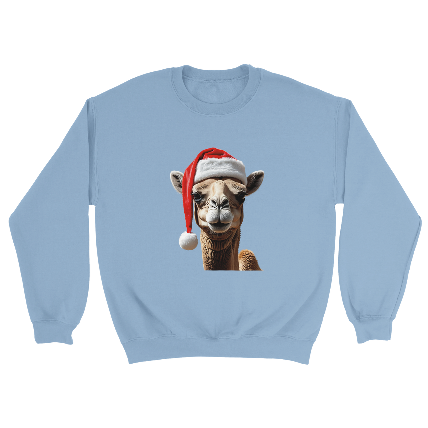 ec81c5a2-7dee-4fbf-b13d-fe98a9bf2fa7